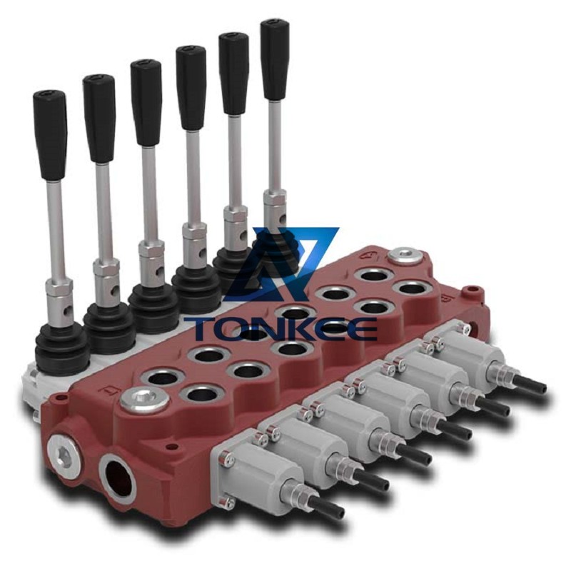 Buy SS11 Versatile and complete monoblock valve | Partsdic®